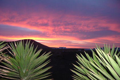 Casa Dominique - Gofio Vier  auf rot lapilli 