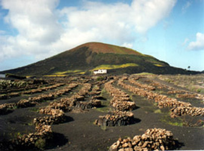 La Vegueta in Lanzarote