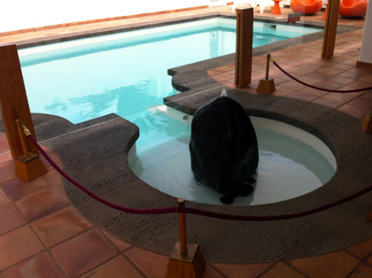 Lanzarote: Casa-Museo de Cesar Manrique Haria: la piscine