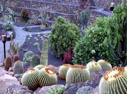 Lanzarote: Jardín de Cactus: Detalles