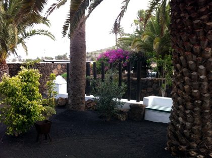 Lanzarote: Casa-Museo de Cesar Manrique Haria: details