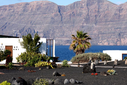 Casa Dominique: Jardins