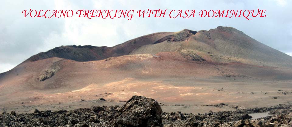 Casa Dominique e Casa Léa